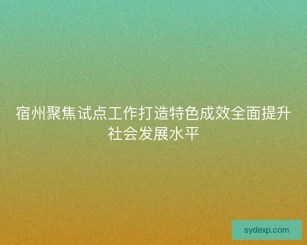 宿州聚焦试点工作打造特色成效全面提升社会发展水平